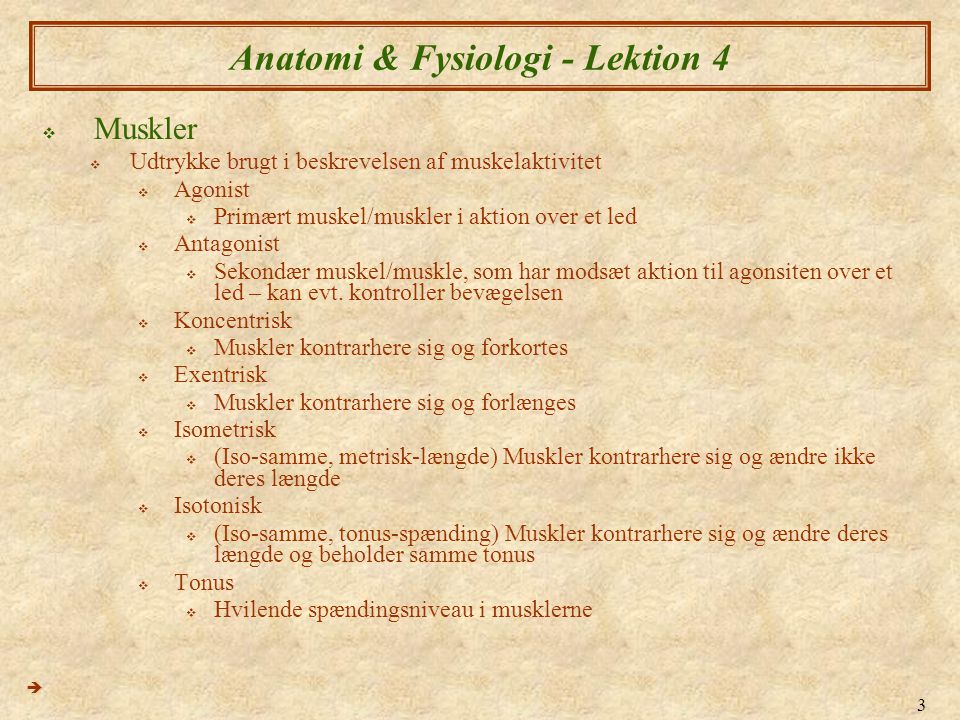 Anatomi & Fysiologi - Lektion 4