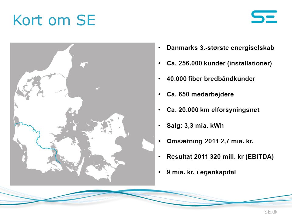 Kort om SE Danmarks 3.-største energiselskab