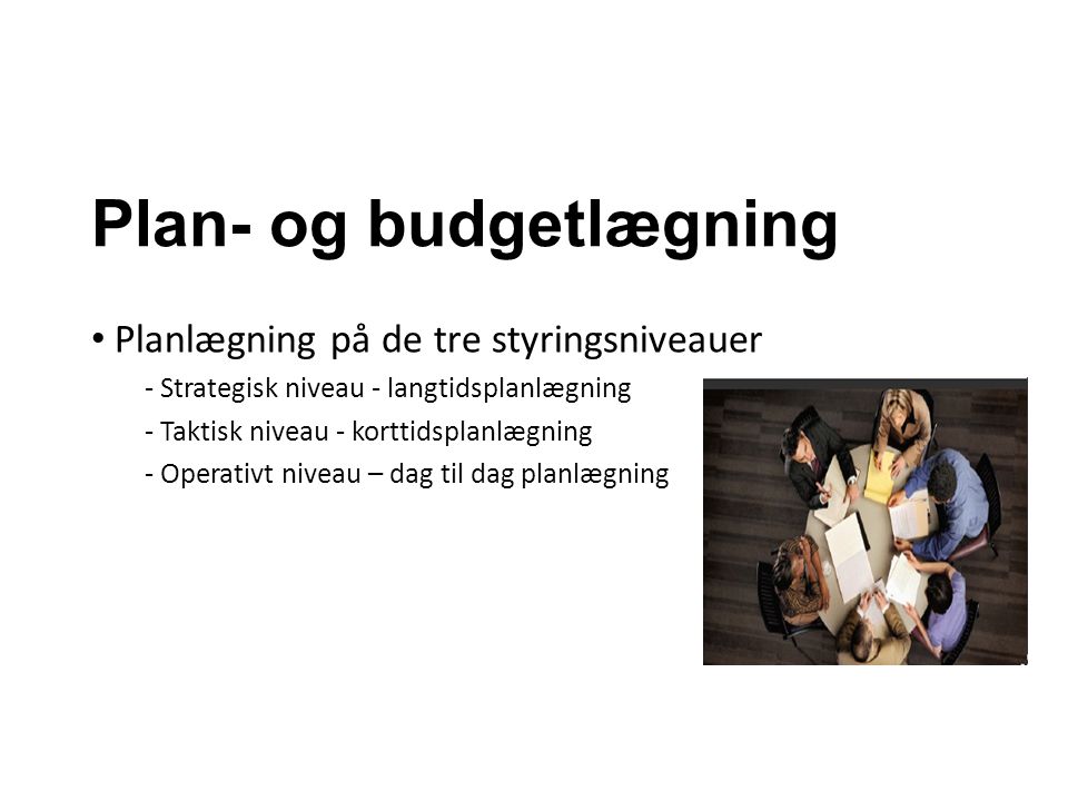 Plan- og budgetlægning