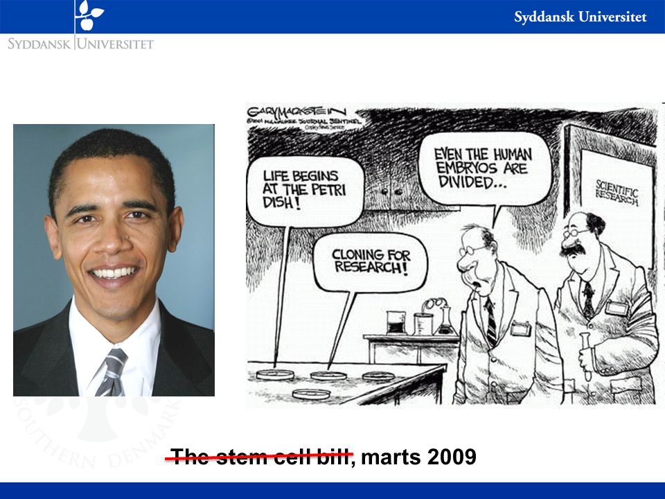 The stem cell bill, marts 2009