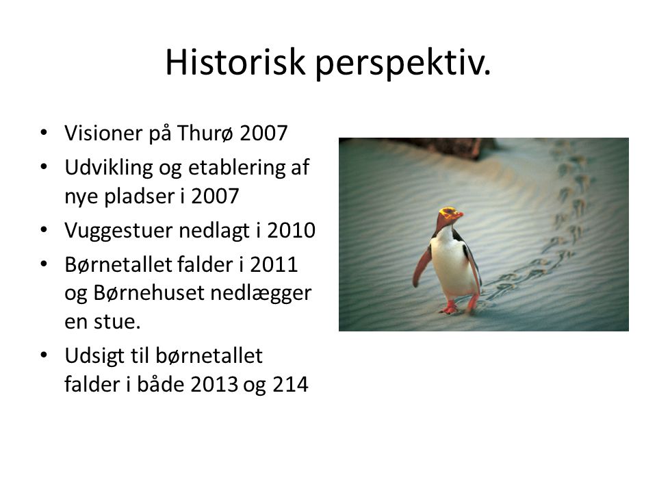 Historisk perspektiv. Visioner på Thurø 2007