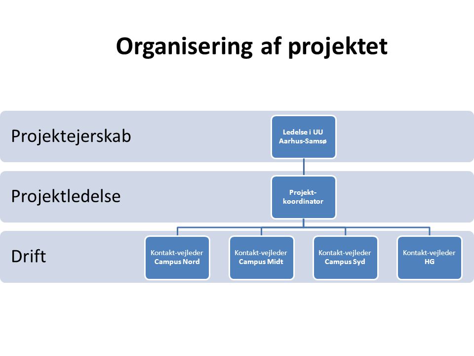 Organisering af projektet