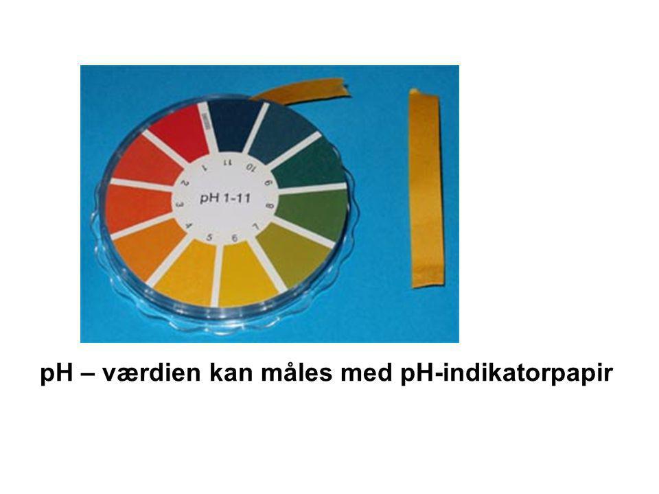 pH – værdien kan måles med pH-indikatorpapir