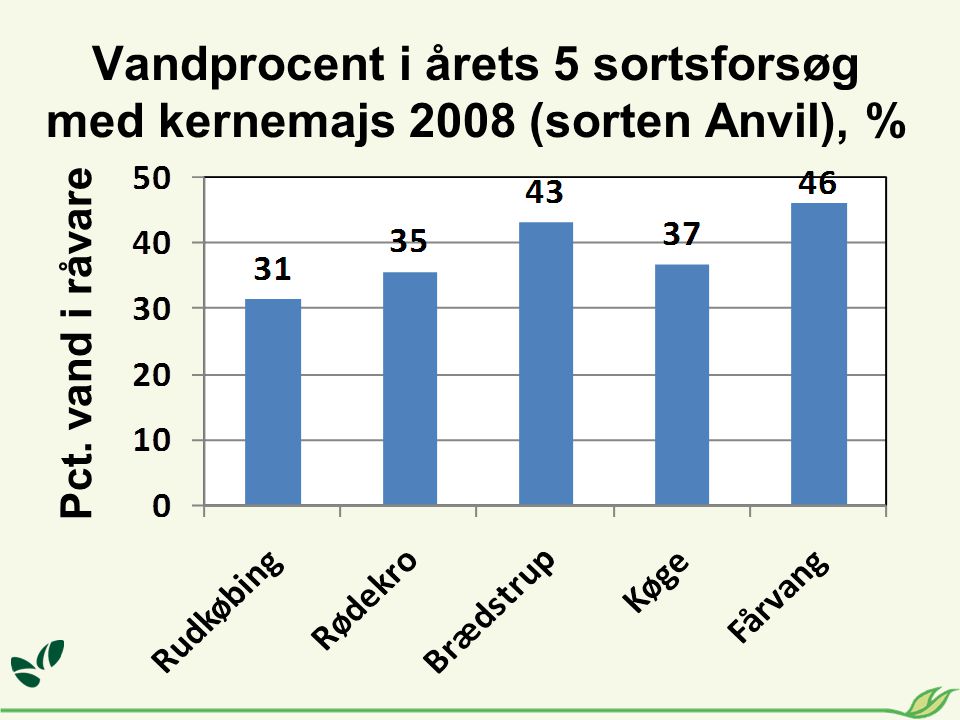 Vandprocent i årets 5 sortsforsøg med kernemajs 2008 (sorten Anvil), %