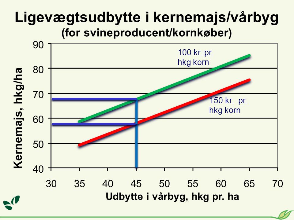 Ligevægtsudbytte i kernemajs/vårbyg (for svineproducent/kornkøber)