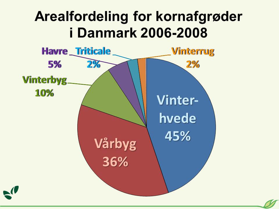 Arealfordeling for kornafgrøder i Danmark