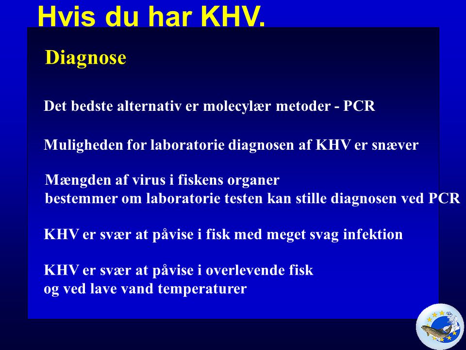 Hvis du har KHV. Diagnose