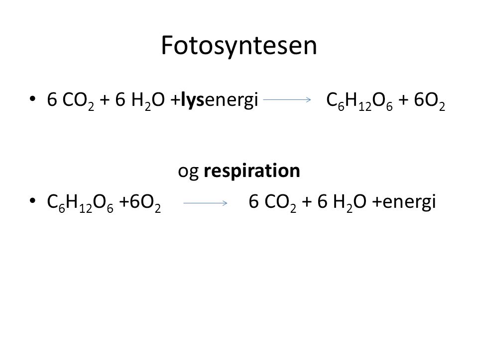 Fotosyntesen 6 CO2 + 6 H2O +lysenergi C6H12O6 + 6O2 og respiration