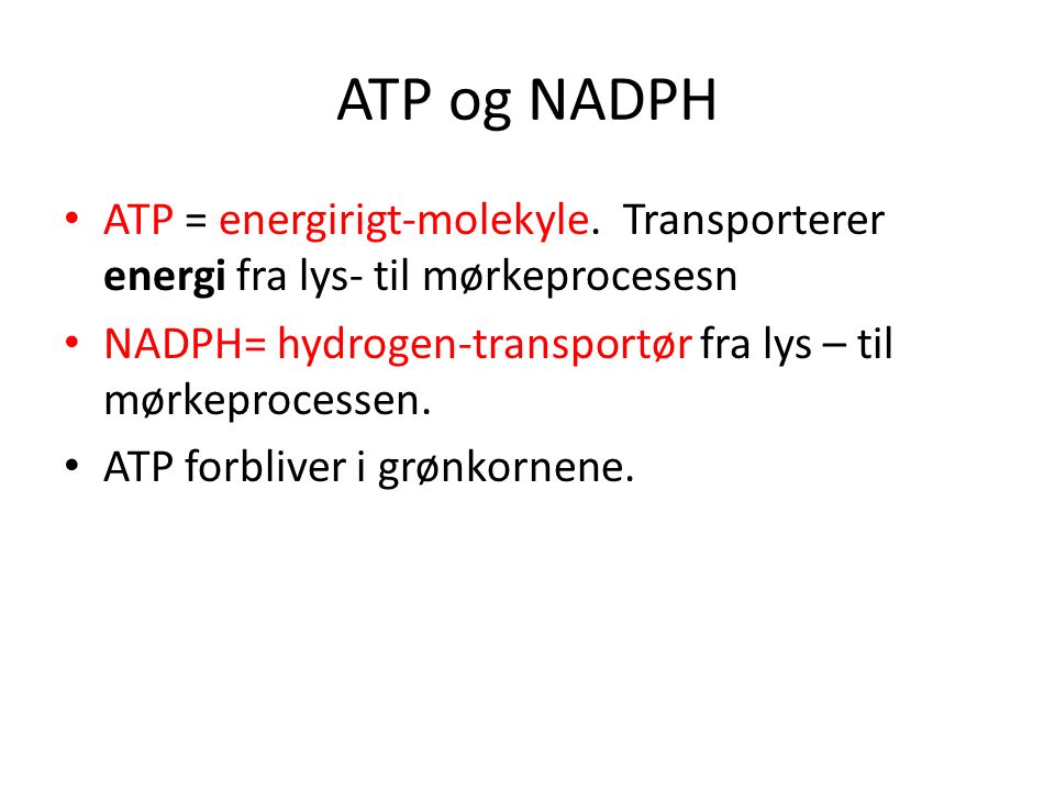 ATP og NADPH ATP = energirigt-molekyle. Transporterer energi fra lys- til mørkeprocesesn. NADPH= hydrogen-transportør fra lys – til mørkeprocessen.
