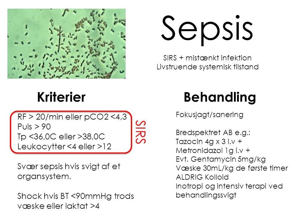 Sepsis Kriterier Behandling SIRS RF > 20/min eller pCO2 <4,3