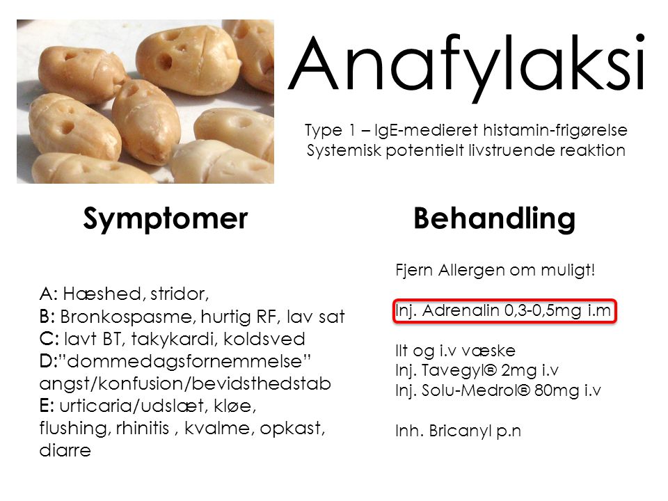 Anafylaksi Symptomer Behandling A: B: C: D: E: A: Hæshed, stridor,