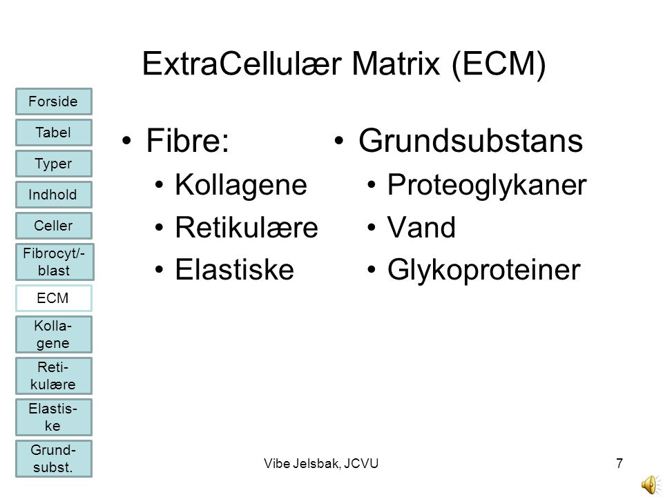ExtraCellulær Matrix (ECM)