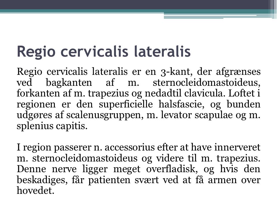 Regio cervicalis lateralis