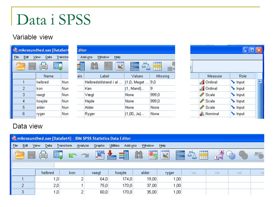 Data i SPSS Variable view Data view