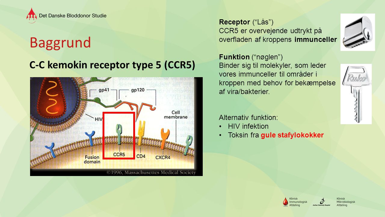 Baggrund C-C kemokin receptor type 5 (CCR5) Receptor ( Lås )