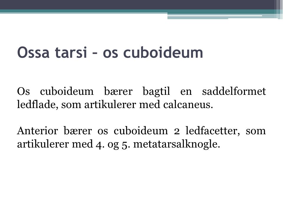 Ossa tarsi – os cuboideum