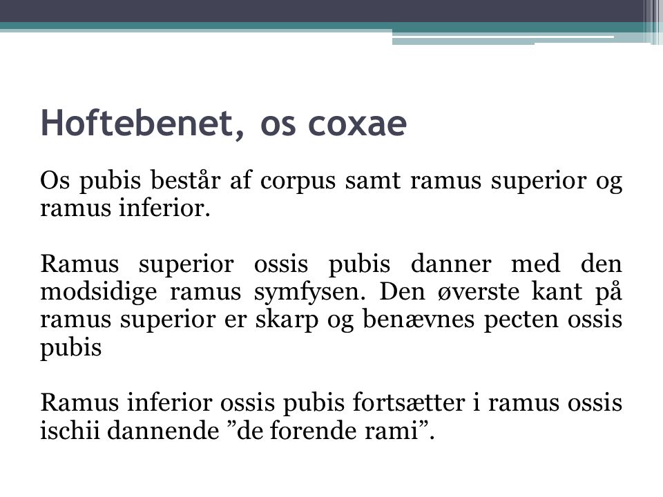 Hoftebenet, os coxae Os pubis består af corpus samt ramus superior og ramus inferior.