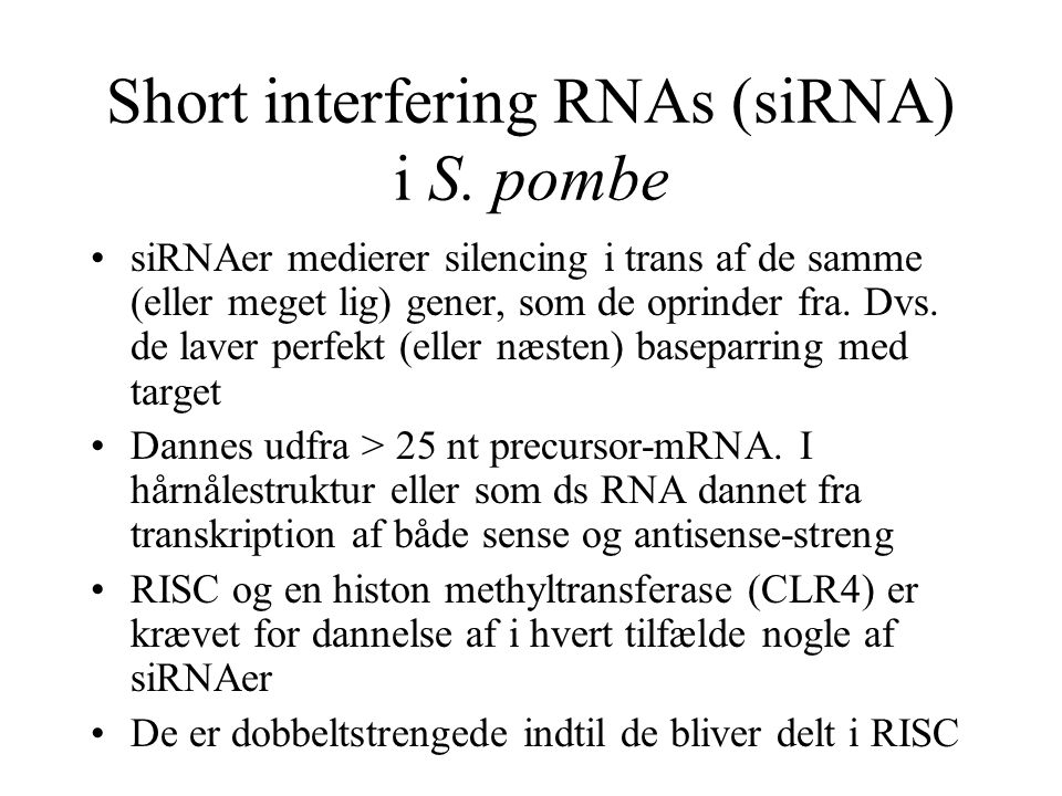 Short interfering RNAs (siRNA) i S. pombe