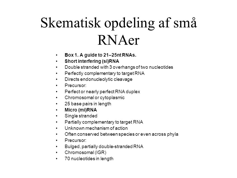 Skematisk opdeling af små RNAer