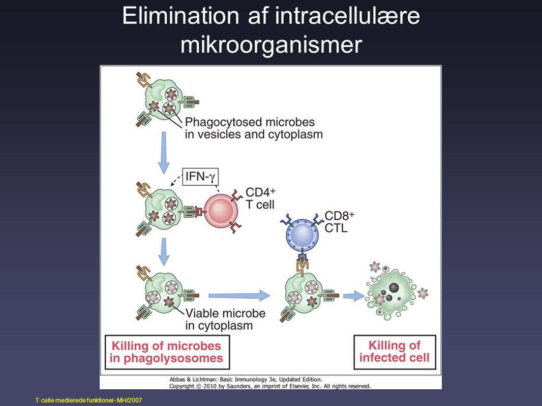 Elimination af intracellulære mikroorganismer