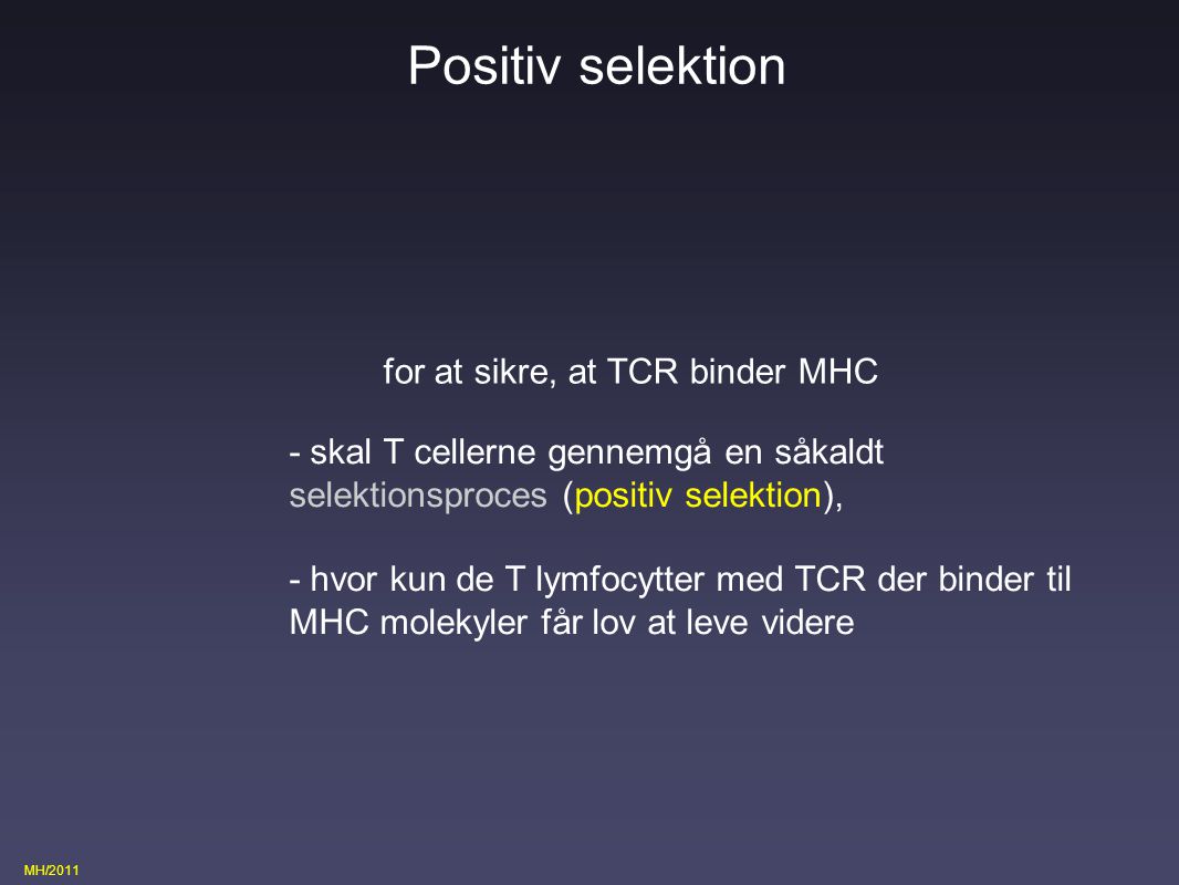 Positiv selektion for at sikre, at TCR binder MHC