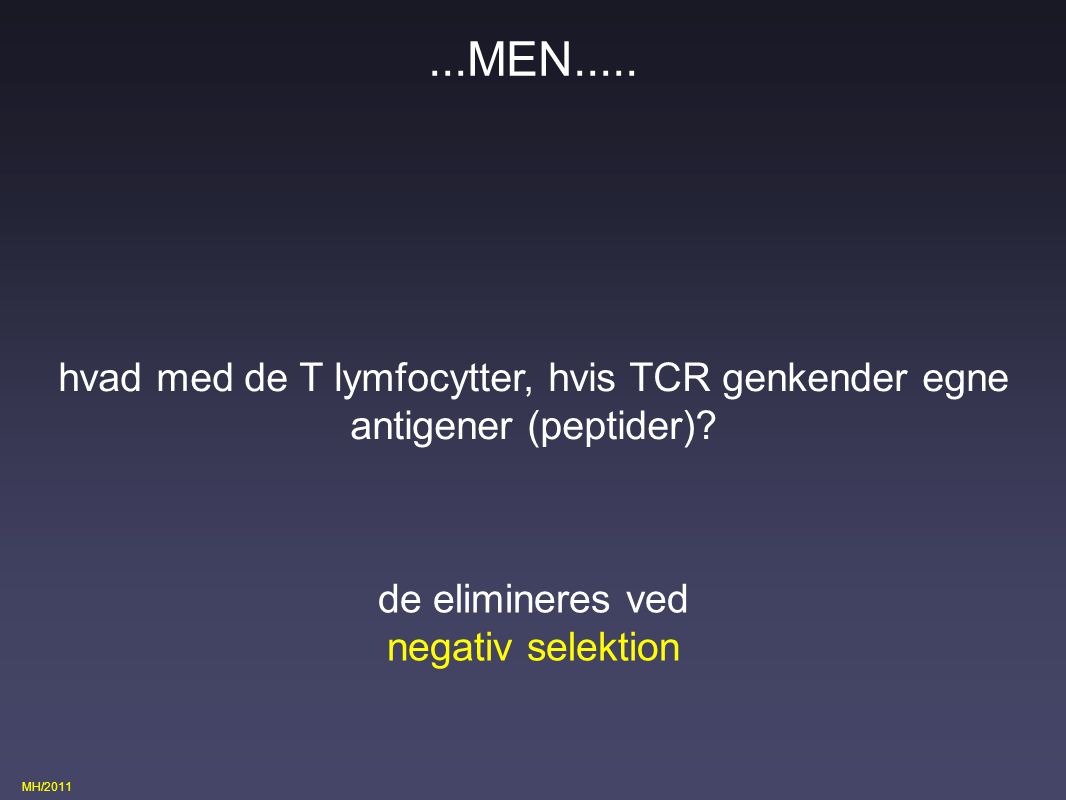 ...MEN..... hvad med de T lymfocytter, hvis TCR genkender egne antigener (peptider)