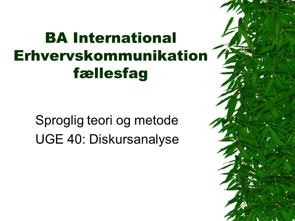 BA International Erhvervskommunikationfællesfag