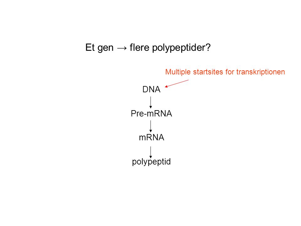 Et gen → flere polypeptider