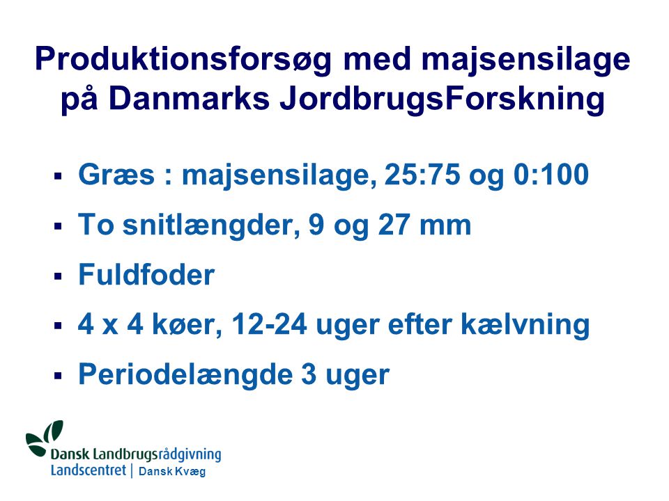 Produktionsforsøg med majsensilage på Danmarks JordbrugsForskning