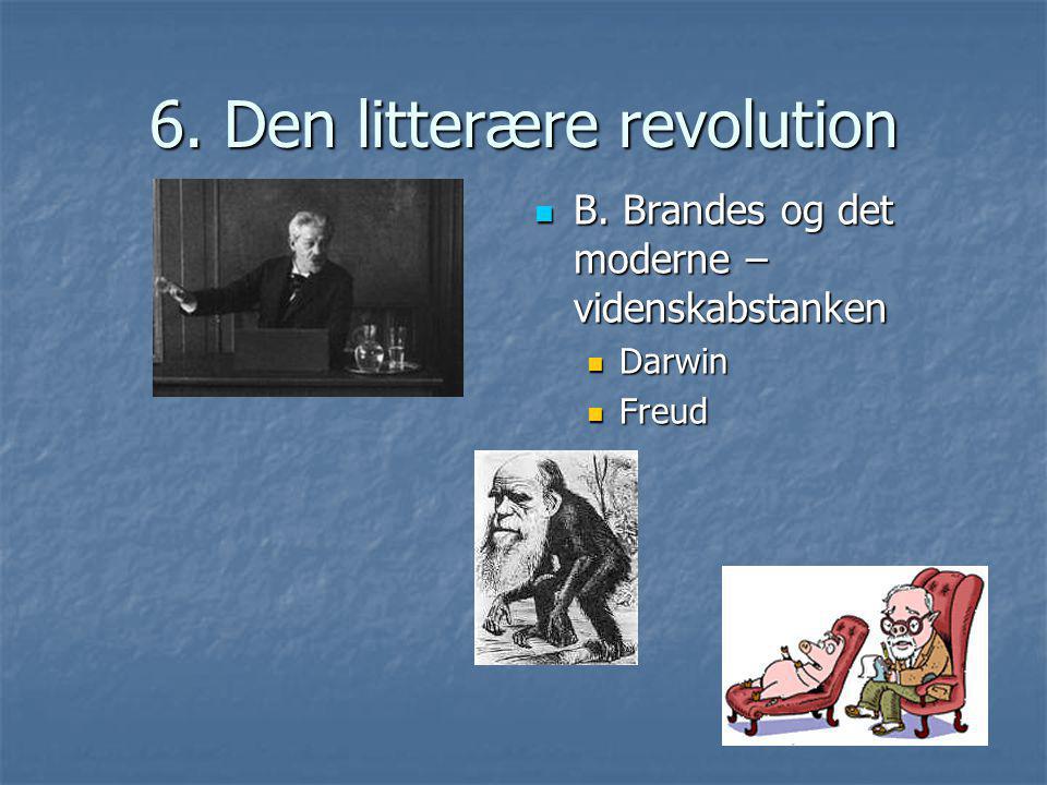 6. Den litterære revolution