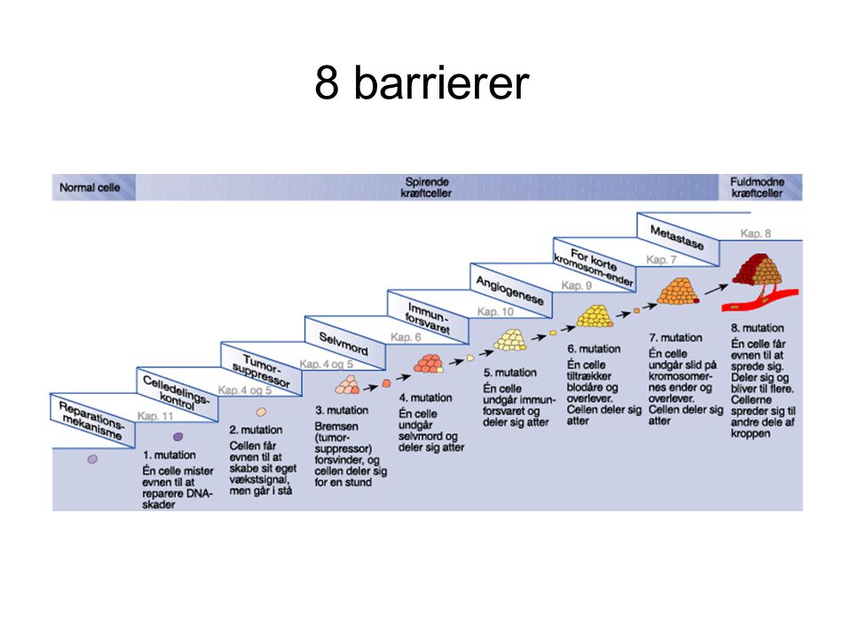 8 barrierer