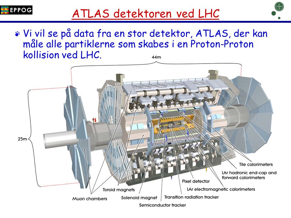 ATLAS detektoren ved LHC