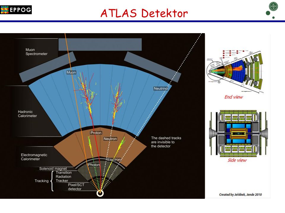 ATLAS Detektor