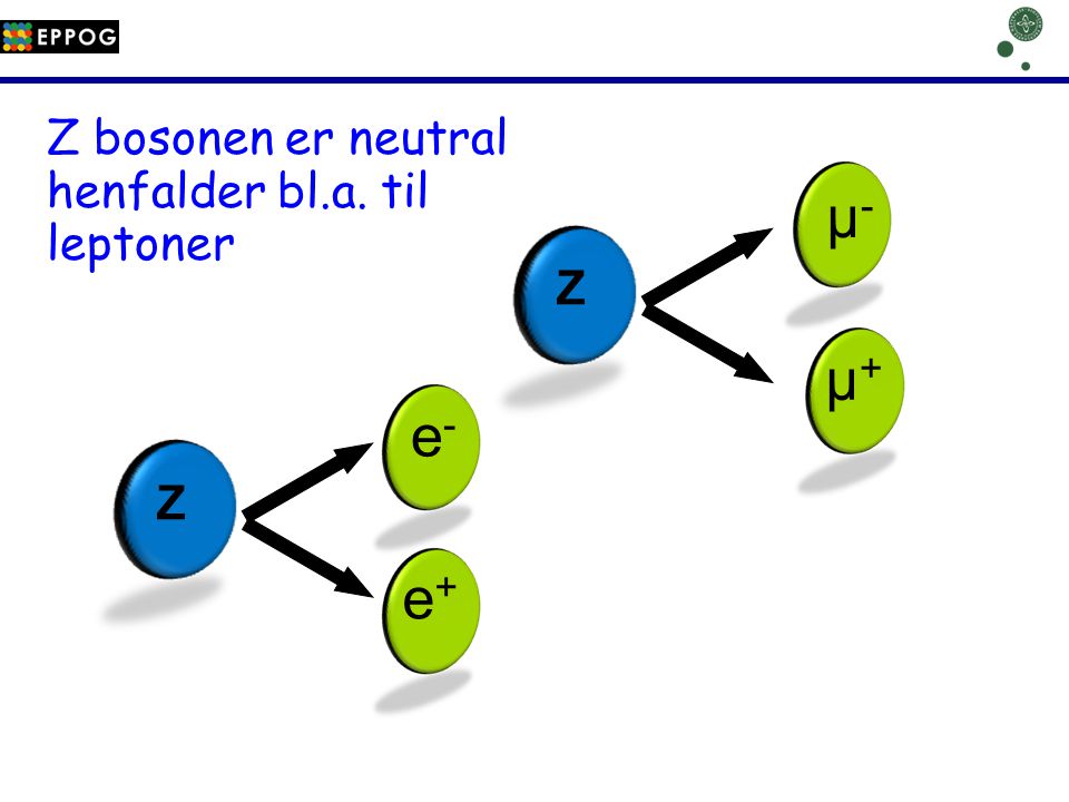 µ- µ+ e- e+ Z bosonen er neutral henfalder bl.a. til leptoner Z Z