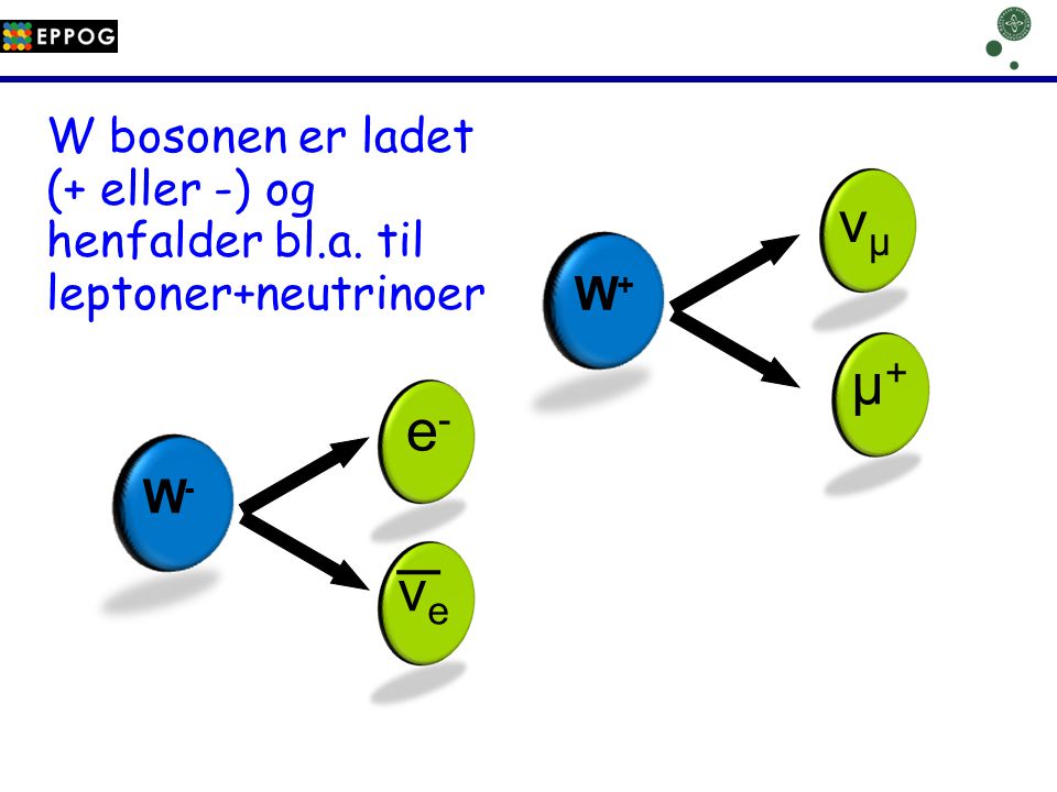 νμ µ+ e- νe W bosonen er ladet (+ eller -) og