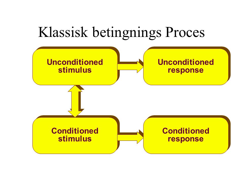 Klassisk betingnings Proces