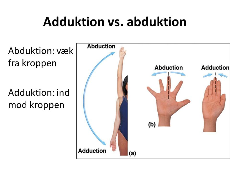 Adduktion vs. abduktion