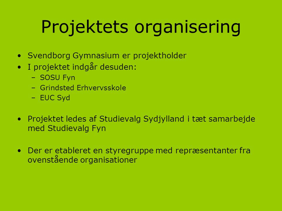 Projektets organisering