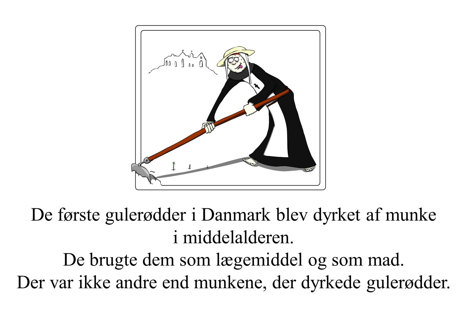 De første gulerødder i Danmark blev dyrket af munke i middelalderen