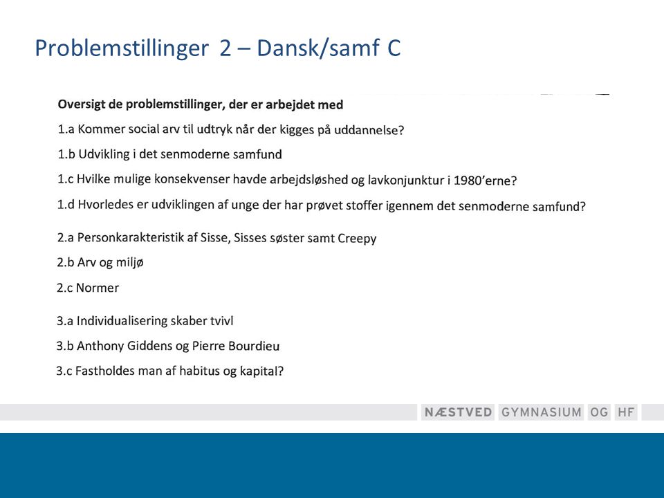 Problemstillinger 2 – Dansk/samf C