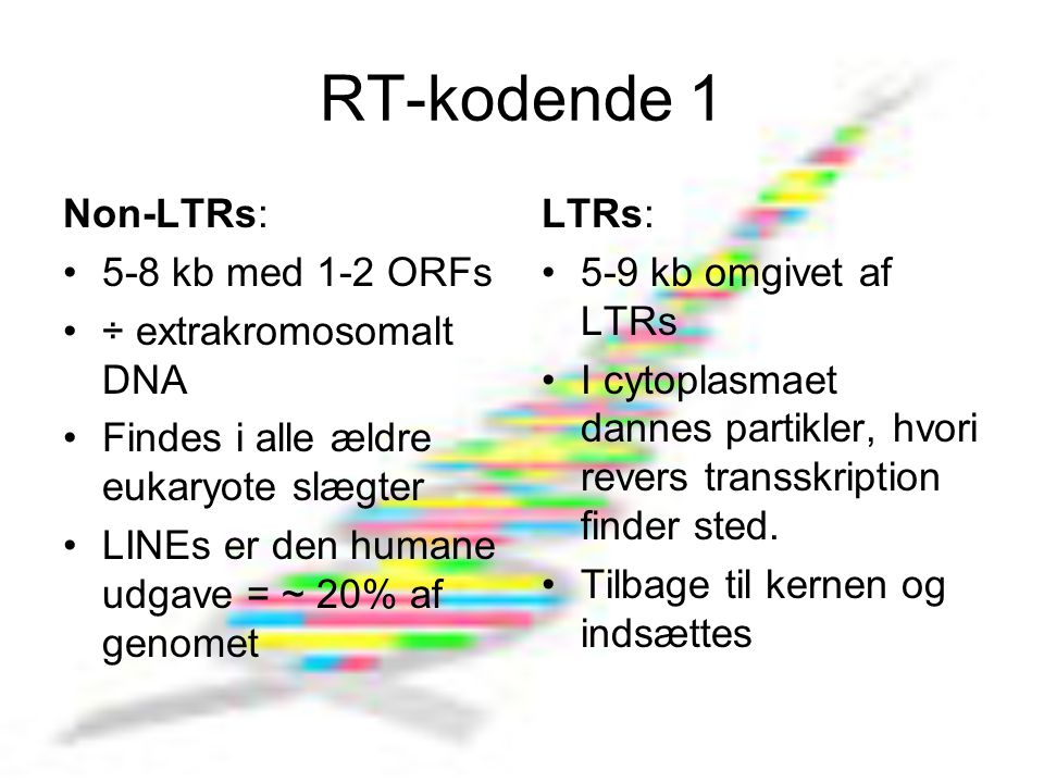 RT-kodende 1 Non-LTRs: 5-8 kb med 1-2 ORFs ÷ extrakromosomalt DNA