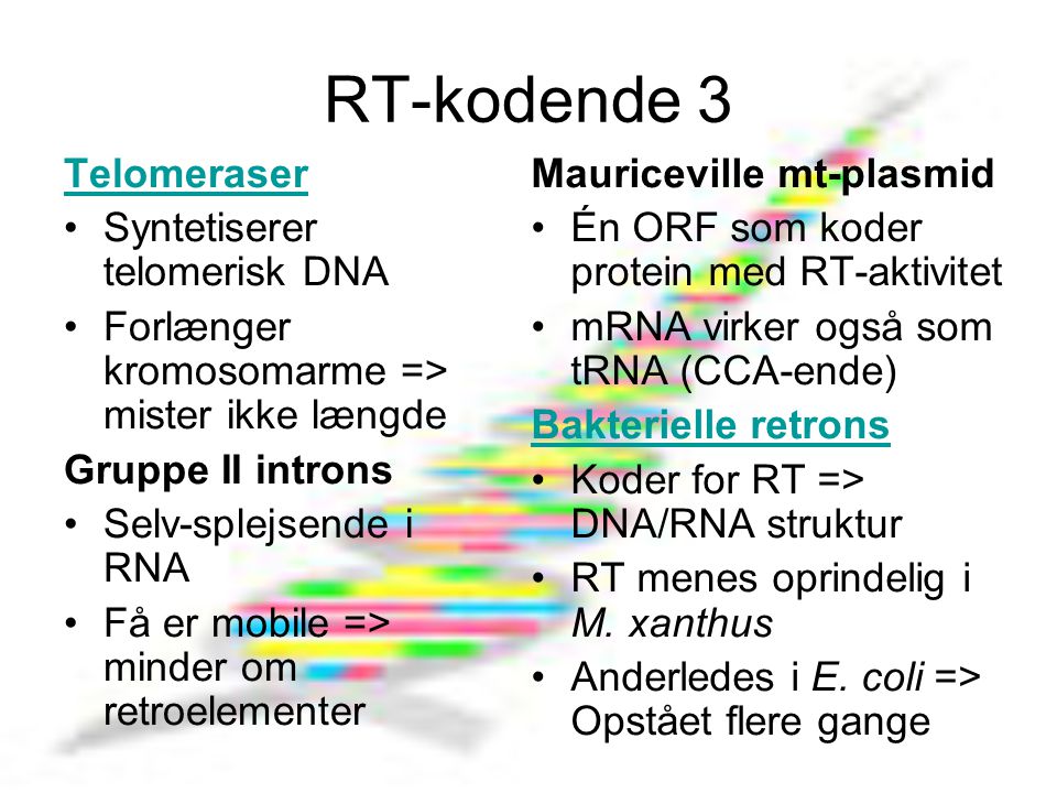 RT-kodende 3 Telomeraser Syntetiserer telomerisk DNA