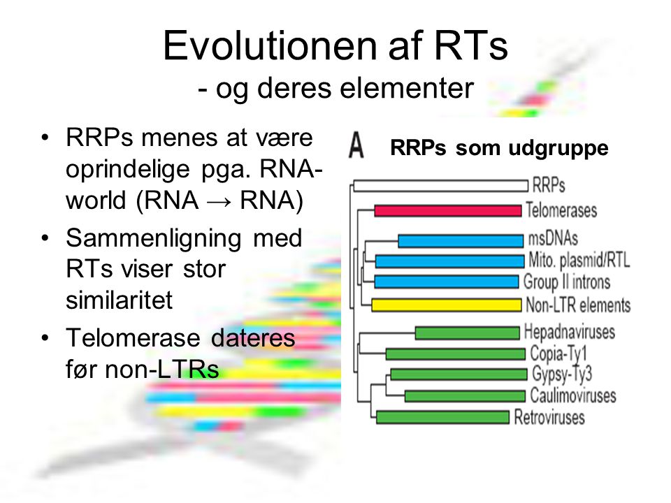 Evolutionen af RTs - og deres elementer