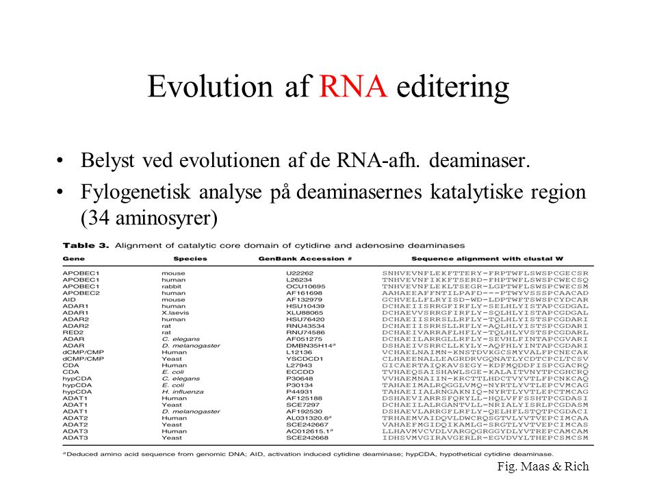 Evolution af RNA editering