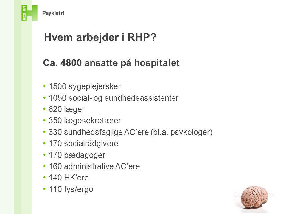 Hvem arbejder i RHP Ca ansatte på hospitalet