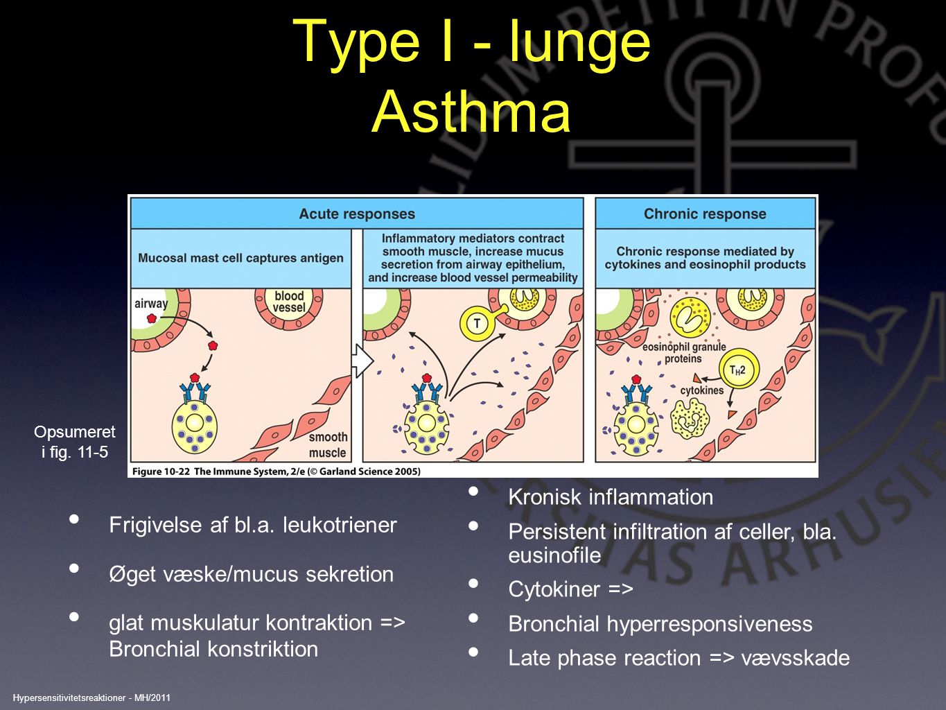 Type I - lunge Asthma Kronisk inflammation