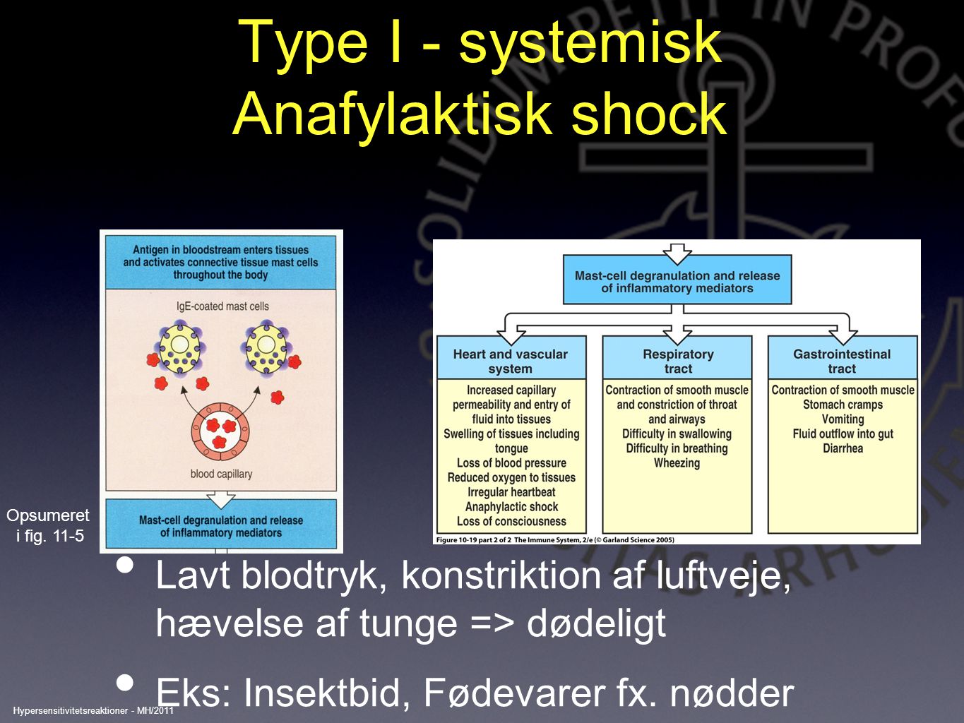 Type I - systemisk Anafylaktisk shock