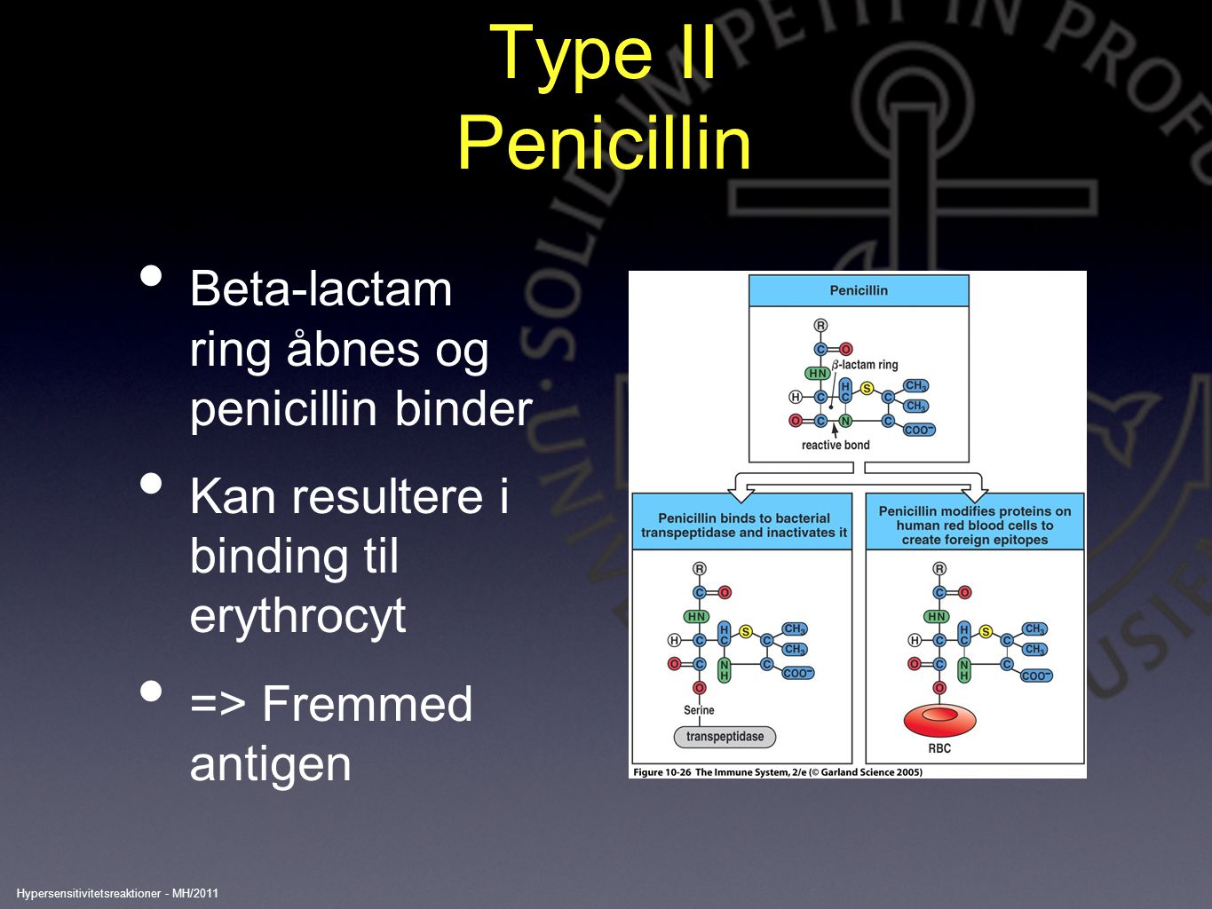 Type II Penicillin Beta-lactam ring åbnes og penicillin binder