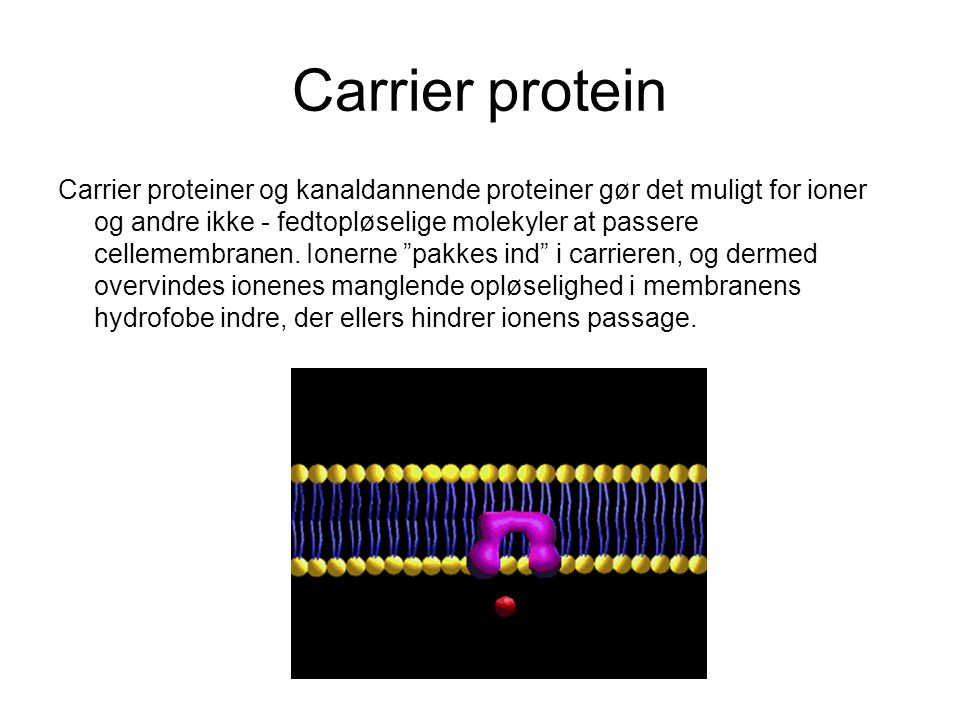 Carrier protein
