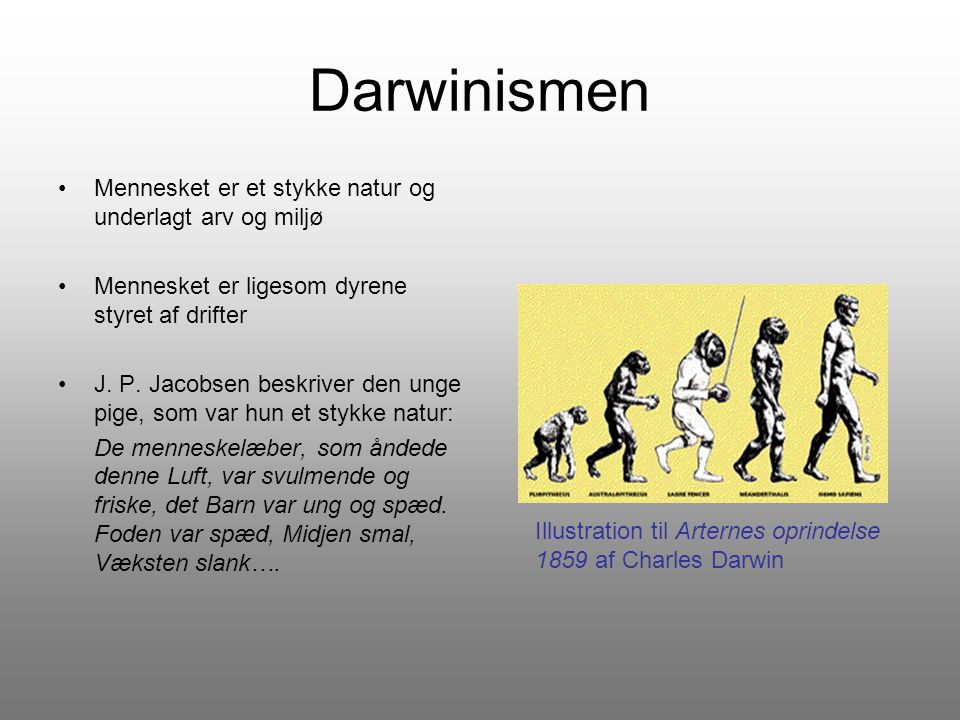 Darwinismen Mennesket er et stykke natur og underlagt arv og miljø